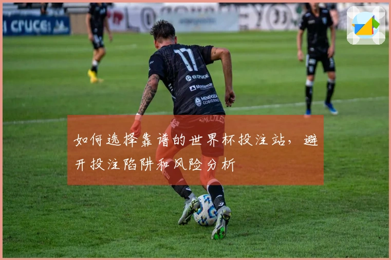 如何选择靠谱的世界杯投注站,避开投注陷阱和风险分析
